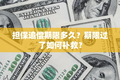 北京担保追偿期限多久？期限过了如何补救？