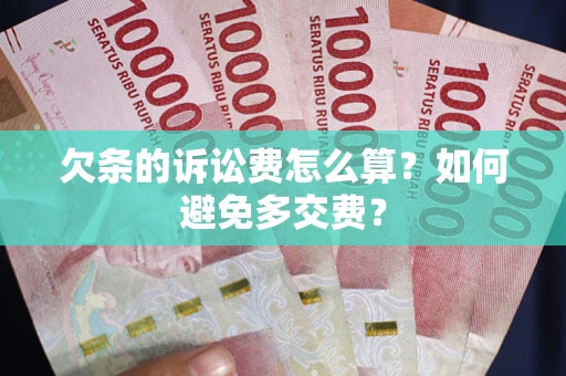 北京欠条的诉讼费怎么算？如何避免多交费？