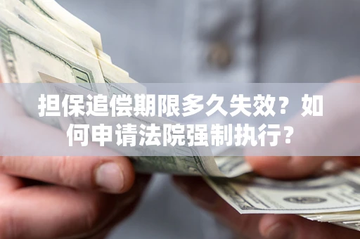 北京担保追偿期限多久失效？如何申请法院强制执行？