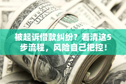 北京被起诉借款纠纷？看清这5步流程，风险自己把控！