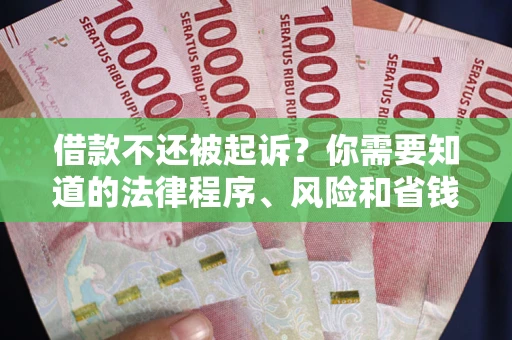北京借款不还被起诉？你需要知道的法律程序、风险和省钱技巧